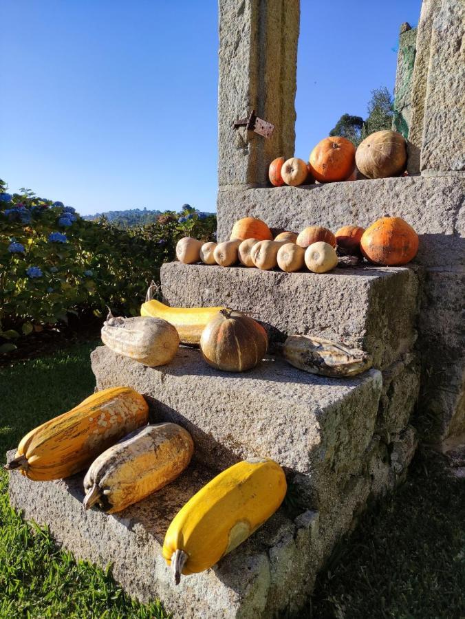 パレーデス・デ・コウラ Casa Da Mataヴィラ エクステリア 写真