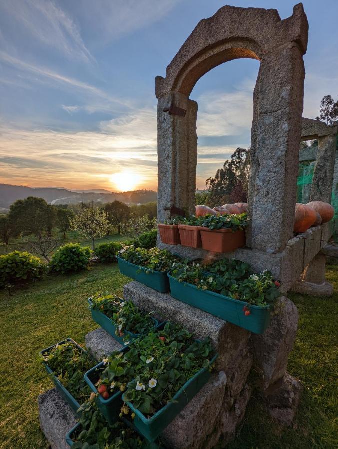 パレーデス・デ・コウラ Casa Da Mataヴィラ エクステリア 写真